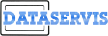 DATASERVIS